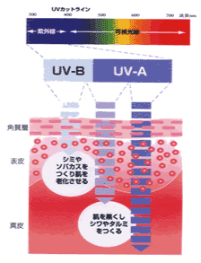 レジャー紫外線1（UV-B）